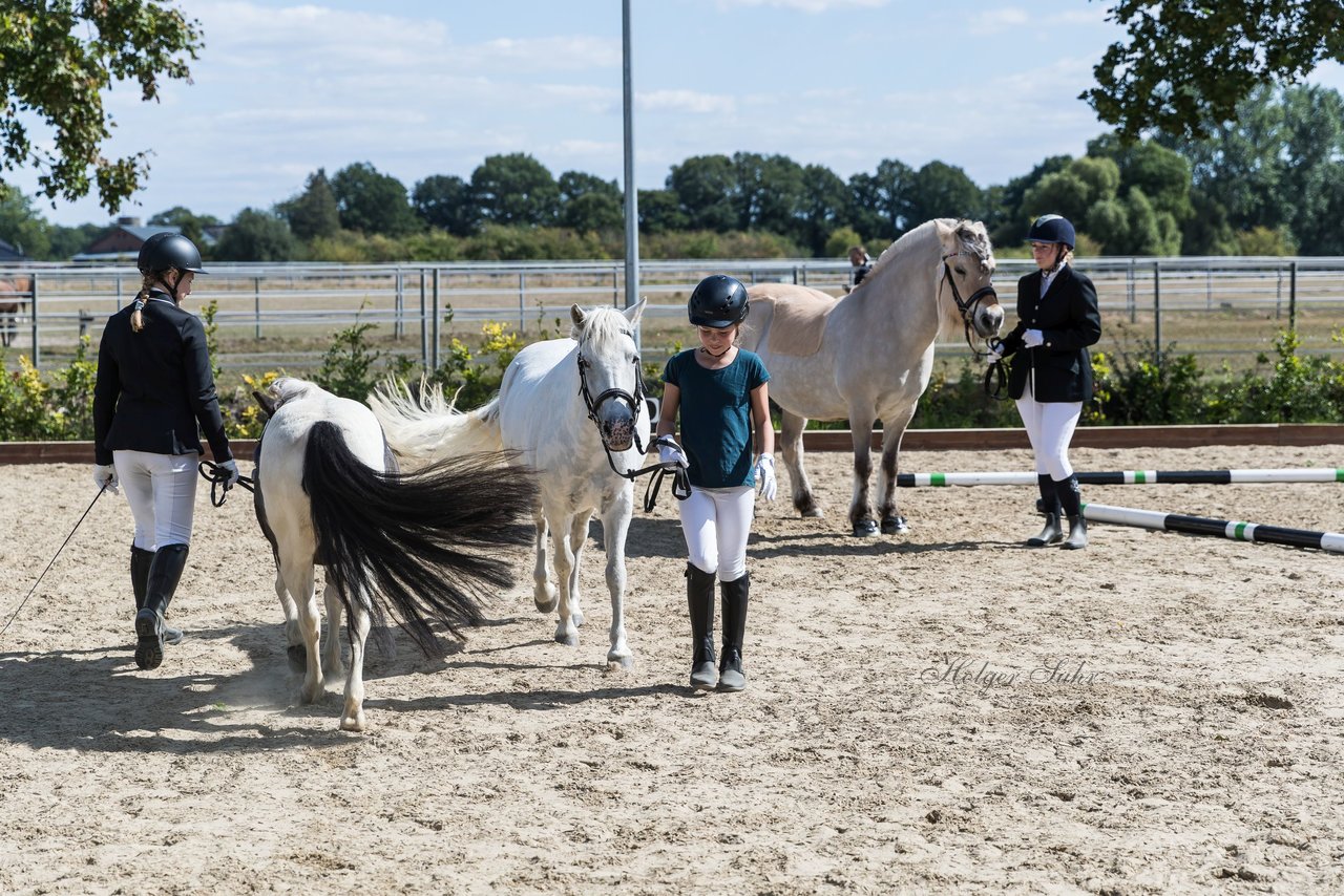 Bild 97 - Pony Akademie Turnier